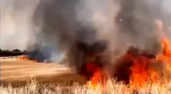 Edirne'de Buğday Tarlasında Yangın