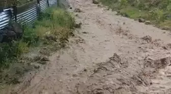 Ardahan Göle'de Kuvvetli Sağanak Sel Baskınına Neden Oldu