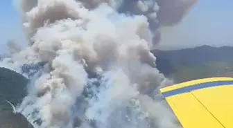 İzmir'de Orman Yangını: Ekipler Seferber Oldu