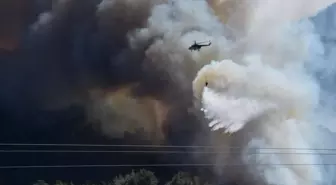 İzmir'deki Orman Yangınına Takviye Hava ve Kara Ekipleri Sevk Edildi