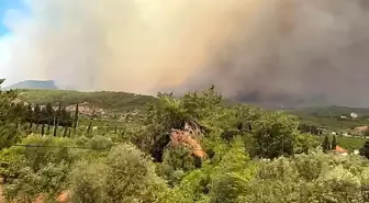 İzmir Menderes'te Orman Yangını: Hava Kuvvetlerinden Destek