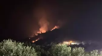İzmir'de Yangın Tehdidi: Ekipler Seferihisar'da Alevlerle Mücadele Ediyor