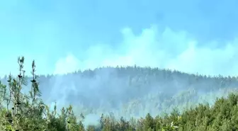 Kahramanmaraş'ta Anız Yangını Ormana Sıçradı, Kontrol Altına Alındı