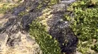 Balıkesir'de Kayıp Kontrol Altına Alınmaya Çalışılıyor