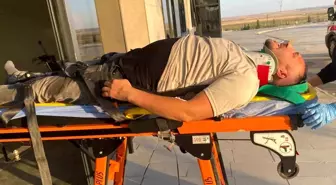 Kulu'da Koyun Sürüsüne Çarpan Otomobilin Sürücüsü Yaralandı
