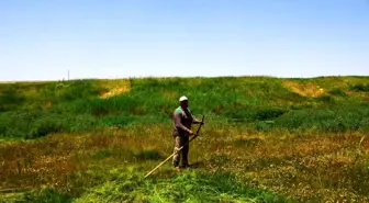 Geleneksel Tırpan Dövme Mesleği Yaşatılıyor