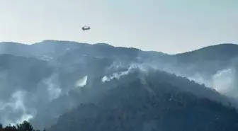 Manisa'da Orman Yangınına Hava ve Kara Müdahalesi Devam Ediyor