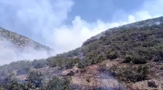 Mardin'de Orman Yangını Söndürme Çalışmaları Sürüyor