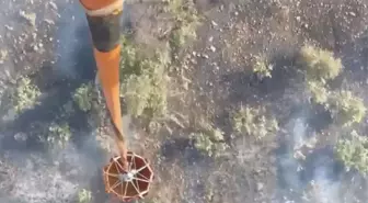 Mardin'de Orman Yangını 4 Saatte Kontrol Altına Alındı