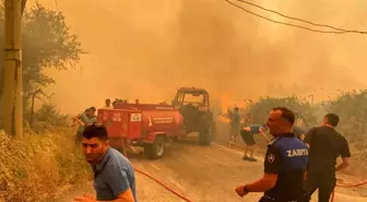 İzmir Menderes'te Orman Yangını: Mahalleler Tahliye Ediliyor