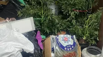 Fethiye'de Uyuşturucu Operasyonu: 7 Şüpheli Gözaltına Alındı