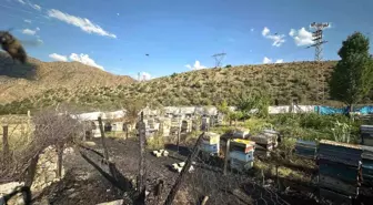 Erzurum'da Arı Kovanları Yangında Yok Oldu
