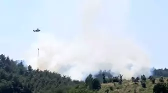 Osmaniye'de Orman Yangını Kontrol Altına Alındı