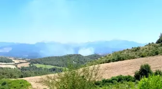 Osmaniye'de Orman Yangını Başladı