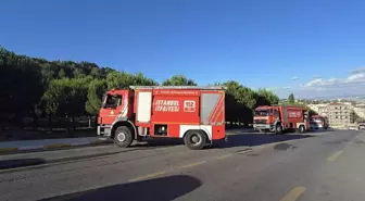 Pendik'te Aydos Ormanı'nda Yangın Kontrol Altına Alındı