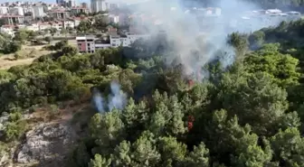 Pendik Aydos Ormanı'nda Yangın Kontrol Altına Alındı