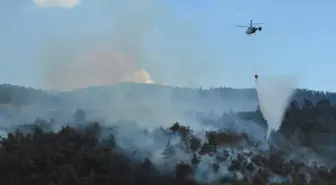 Sakarya'da Orman Yangınına Hızla Müdahele