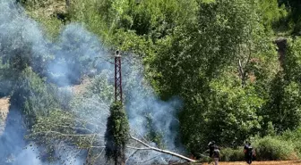 Kozan'da Kopan Elektrik Teli Yangına Sebep Oldu