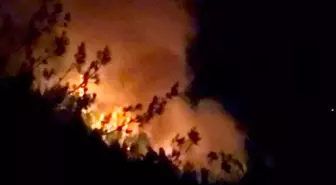 Adana ve Osmaniye'de Orman Yangınları Kontrol Altına Alınıyor