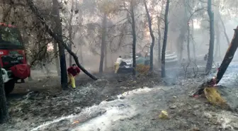 İzmir'de Orman Yangını: Ekiplerin Özverili Mücadelesi