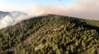 Antalya Gazipaşa'da Orman Yangınına Hızla Müdahale Ediliyor