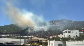 Bodrum'daki Yangın 3 Saatte Kontrol Altına Alındı