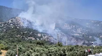 Bodrum'da Yangın: 4 Hektar Alan Zarar Gördü