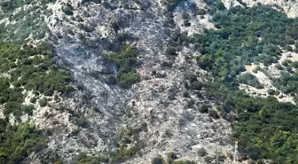 Bodrum'da Orman Yangını Kontrol Altına Alınıyor