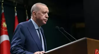 Cumhurbaşkanı Erdoğan: Yangınlarda sorumluluğu olduğu tespit edilen 31 kişi gözaltına alındı