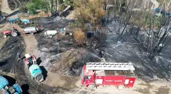 Eber Gölü Yakınındaki Yangın Kontrol Altına Alındı