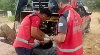Sakarya'daki Orman Yangını Bilecik'e Sıçradı, Eskişehir'den Sağlık Ekibi Gönderildi