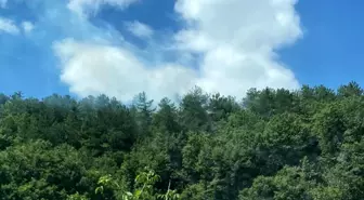 Bilecik'te Orman Yangını Yeniden Alevlendi