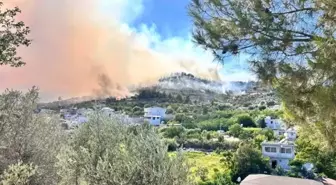 Hatay'da orman yangını! 1800 kişi tahliye edildi, 60 ev zarar gördü