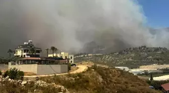 Hatay'da Ormanlık Alanda Yangın Çıktı