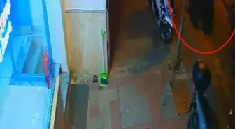 Kağıthane'de Silahlı Saldırı: İki Kardeş Yakalandı