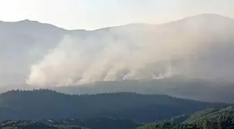 İzmir'de Orman Yangınına Hava Müdahalesi Başladı