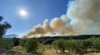 İzmir'de Orman Yangını İkinci Gününde Devam Ediyor