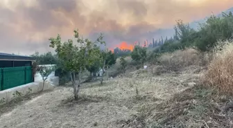 İzmir'de Orman Yangını Nedeniyle Atatürk Mahallesi Tahliye Edildi