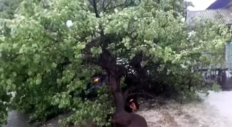 Kars'ta Dolu ve Sağanak, Caddeleri Göle Dönüştürdü