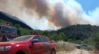 Eskişehir Orman Ekipleri Taraklı ve Gölpazarı'ndaki Yangınları Söndürdü