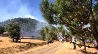 Kahramanmaraş'ta Orman Yangını Kontrol Altına Alındı