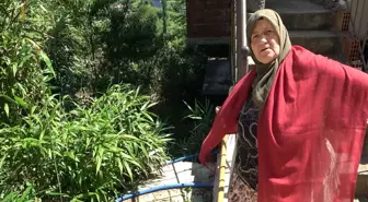 Mahalle sakinlerinden kamış isyanı: Bir kaç sene sonra köy kapanır