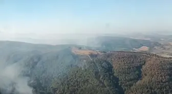 Manisa'daki Orman Yangını Üçüncü Gününde Mücadele Ediliyor