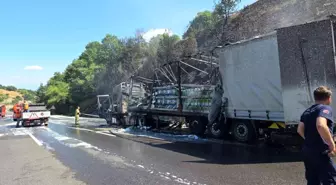 Bursa'da Motor Yağı Yüklü Tır Yangını: Ormanlık Alan Zarar Gördü