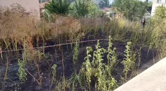 Tekirdağ'da Boş Arsada Yangın Paniği