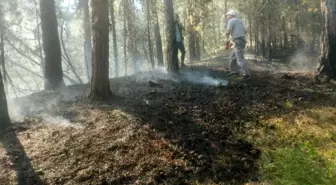 Afyonkarahisar'da Orman Yangını Kontrol Altına Alındı