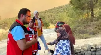 Bilecik'te Orman Yangını Sonrası Psikososyal Destek Ekipleri Sahada