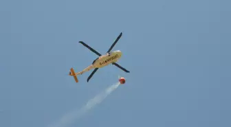 Sakarya ve Bilecik'te Orman Yangını Kontrol Altında
