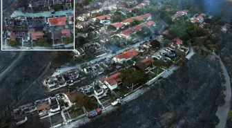 Seferihisar'da orman yangını: 345 haneli yazlık site küle döndü