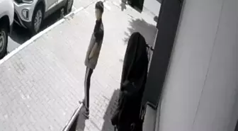 Sultangazi'de Elektrikli Bisiklet Hırsızlığı Kamerada